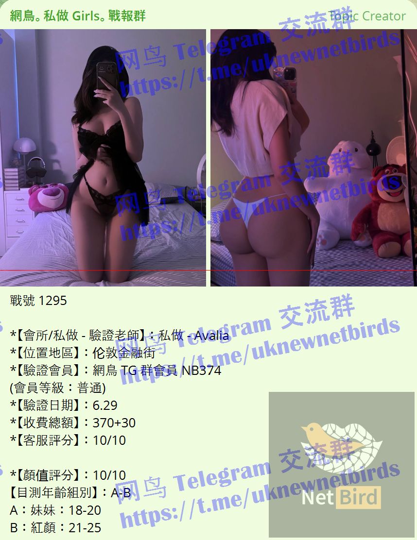戰號 1295 1.jpeg